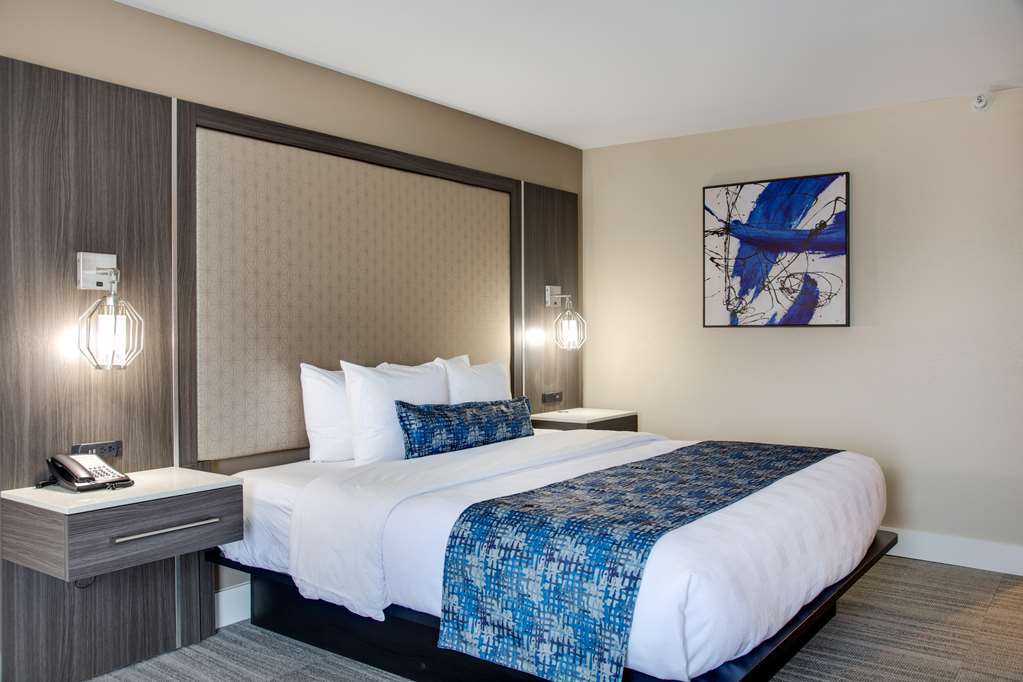 Best Western Plus Greenville I-385 Inn & Suites Szoba fotó