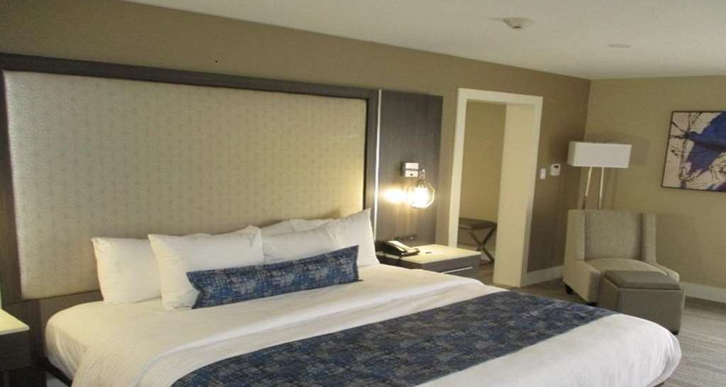 Best Western Plus Greenville I-385 Inn & Suites Szoba fotó